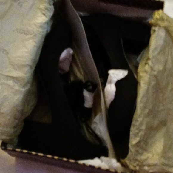 Shoes - Picture 2 of 4